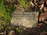 image of grave number 238162